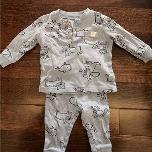 Light Blue Outfit with Animal Print